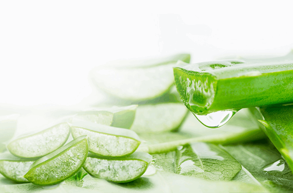 Aloe-Vera